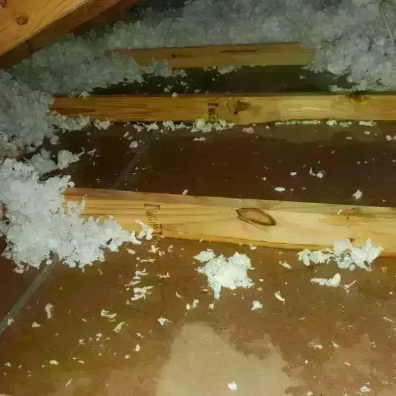 Attic Water Damage in Jefferson, GA