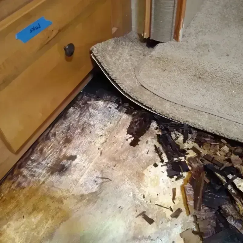 Wood Floor Water Damage in Jefferson, GA